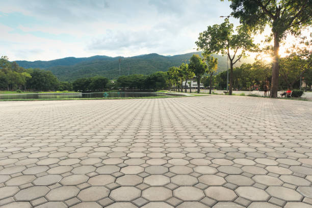Best Professional Driveway Pavers  in Oak Grove, VA